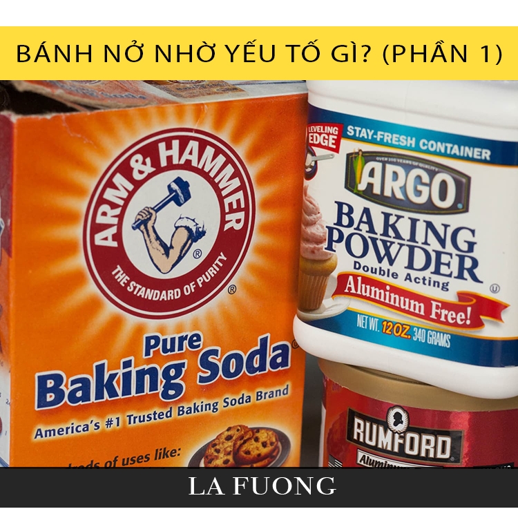 Các chất & yếu tố tạo độ nở cho bánh (P1)