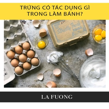 Cách đánh trứng "chuẩn" & các lỗi sai thường gặp