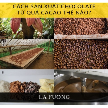Hiểu về chocolate để làm bánh ngon và đẹp hơn